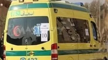 خلافات الميراث تؤدي إلى قتل أخ لأخته في زفتى: التفاصيل الكاملة