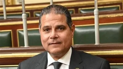 أحمد الخشن: توجيهات الرئيس السيسي كفرصة جديدة لجذب الاستثمارات وضمان أمن الطاقة والكهرباء في مصر