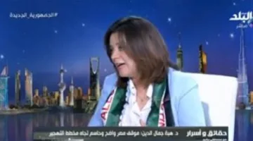 أستاذ في معهد التخطيط القومي: تقارير “إسرائيلية” تدعي أن الدول العربية عاجزة عن تأمين نفسها