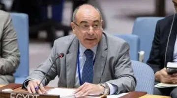 السفير محمد إدريس: يحتاج التمثيل الإفريقي إلى تنسيق أوسع وتعاون جماعي بين الدول القارية.