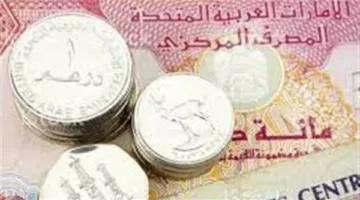 استكشف سعر الدرهم الإماراتي مقابل الجنيه المصري اليوم