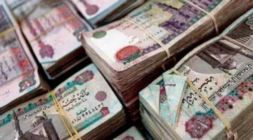 بعد الزيادة الأخيرة.. تعرف على قيمة معاشك خلال الأيام القادمة بعد قرار التأمينات