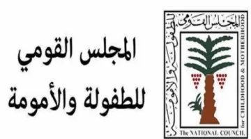 ورشة عمل حول حماية الأطفال من مخاطر الإنترنت بتنظيم الطفولة والأمومة