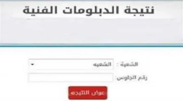 تحقق الآن.. رابط نتائج الدبلومات الفنية للدور الأول 2025