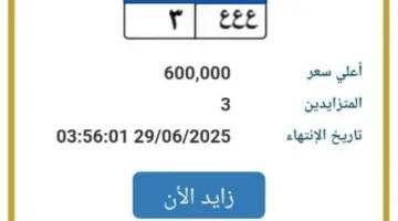 بمبلغ 600 ألف جنيه.. المرور يقدم عرضًا للترخيص بلوحة سيارة فريدة