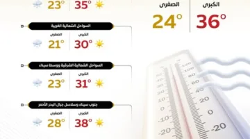 الحكومة تتابع مستويات الحرارة في الصعيد والقاهرة الكبرى اليوم.. رسم بياني