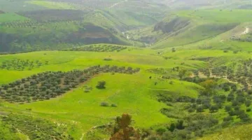نداءات إلى القادة الثلاثة.. “مزارع شبعا جزء من لبنان”!