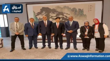 مصر والصين تناقشان زيادة التعاون التجاري بين المشاريع الصغيرة في كلا البلدين