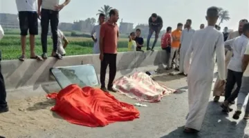 زيادة عدد ضحايا حادث الطريق الإقليمي في المنوفية إلى 9 قتلى و5 مصابين