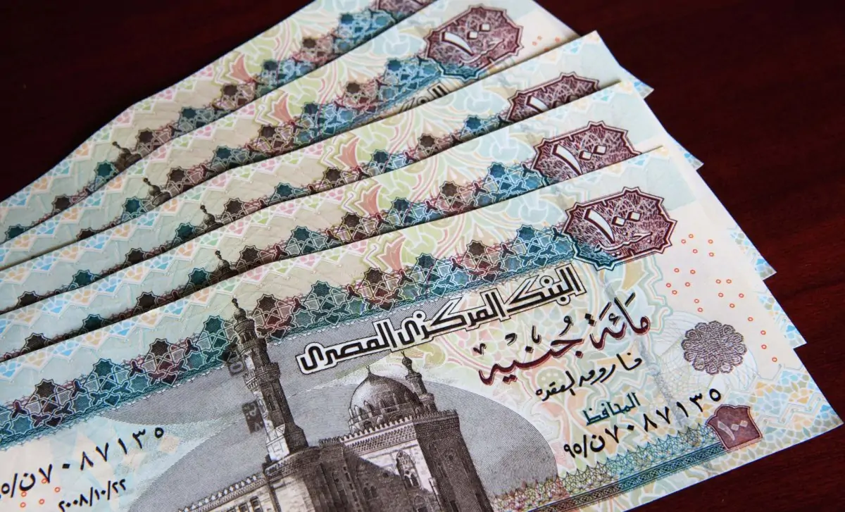 متطلبات الحصول على معاش ربات البيوت غير العاملات ومقدار الاشتراك المالي