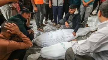 شهادات وإصابات نتيجة إطلاق نار الاحتلال بالقرب من مركز توزيع المعونات شمال رفح الفلسطينية