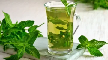فوائد شرب النعناع بعد الوجبات: تأثيره على الجسم
