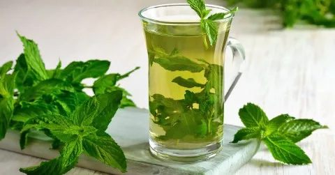 فوائد شرب النعناع بعد الوجبات: تأثيره على الجسم فوائد شرب النعناع بعد الوجبات: تأثيره على الجسم