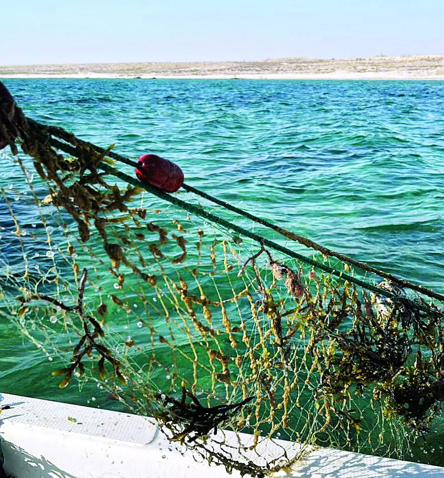 البيئة تقضي على شباك الصيد المهجورة
