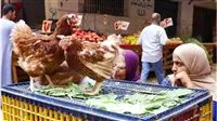 انخفاض بنسبة 27%: أسعار الدواجن تبلغ أدنى مستوياتها منذ شهر رمضان 2025