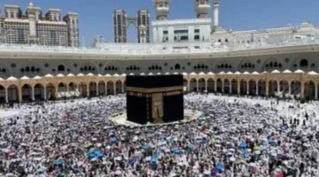 خدمات شاملة للعناية بسجاد المسجد النبوي لراحة رواد الصلاة