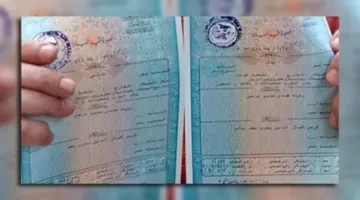 استخراج شهادة ميلاد إلكترونيًا في 2025 من منزلك ودون الحاجة للانتظار عبر منصة مصر الرقمية