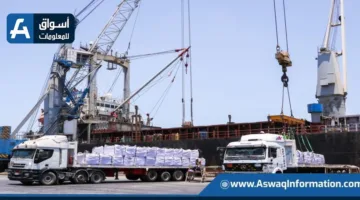 مجلس الوزراء: تطوير 3 موانئ جديدة مع أرصفة تصل إلى 67 كم إجمالاً