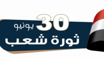 إجازة الاحتفال بذكرى ثورة 30 يونيو 2025: تعرف على التاريخ المعدل بعد قرار التأجيل