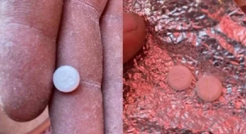 حكومة غزة: اكتشاف مواد مخدرة ضمن الطحين المقدم كمساعدات من أمريكا وإسرائيل حكومة غزة: اكتشاف مواد مخدرة ضمن الطحين المقدم كمساعدات من أمريكا وإسرائيل