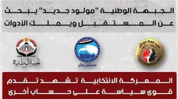 مصادر سياسية تكشف لـ تحيا مصر: حزب حماة الوطن هو الأمل في انتخابات 2026