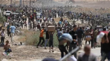 أطباء بلا حدود: توزيع المساعدات في غزة يُعتبر إبادة جماعية مُخفاة تحت غطاء الأعمال الخيرية