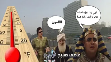 حالة الطقس اليوم وغداً: زيادة في درجات الحرارة وظهور كثيف للشبورة