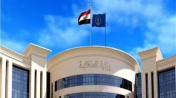 إلقاء القبض على المسؤول عن وفاة وإصابة 22 شابًا وشابة من قرية واحدة في المنوفية
