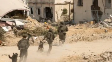 زامير: سنحقق أهدافنا المحددة في المرحلة الحالية من “عربات جدعون” قريباً.