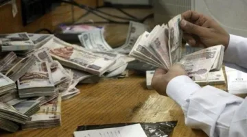 كيفية احتساب معاش يوليو 2025 بعد تنفيذ زيادة التأمينات الجديدة