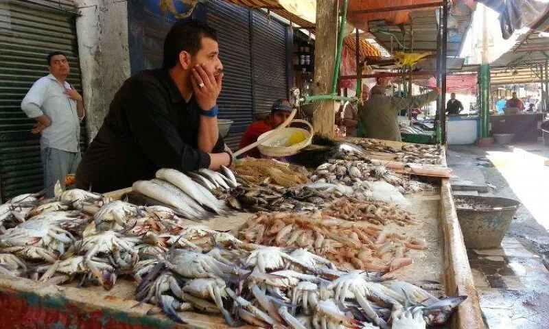 تحديث أسعار الأسماك والمأكولات البحرية ليوم 27 يونيو 2025