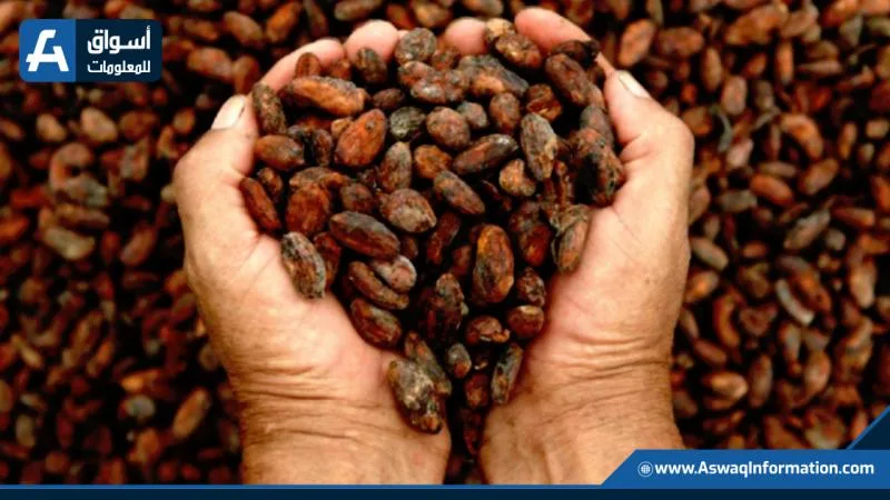 غانا تأمل في استعادة إنتاج الكاكاو بعد انخفاض كبير وتعتزم الانتعاش خلال 4 سنوات. غانا تأمل في استعادة إنتاج الكاكاو بعد انخفاض كبير وتعتزم الانتعاش خلال 4 سنوات.