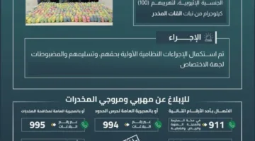 حرس الحدود في عسير يضبط ستة مهربين بحوزتهم 100 كيلوغرام من نبات القات.