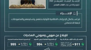 القبض على أربعة أفراد في جازان بتهمة تهريب 160 كيلوغرامًا من مخدر القات