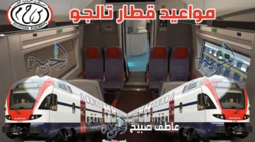 الأكثر سرعة وأناقة وأماناً: تفاصيل إنفوجرافيك عن مواعيد قطار تالجو من القاهرة إلى الإسكندرية وأسوان وأسعار التذاكر الجديدة