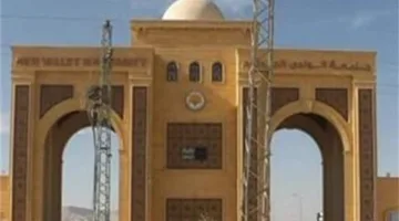 جامعة الوادي الجديد تصبح عضوًا رسميًا في شبكة جامعات البريكس.