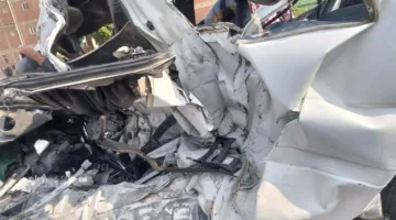 19 وفاة خلال موسم حصاد العنب في المنوفية.. والإسعاف تخلد ذكريات الراحلين على “سيارات الوداع”