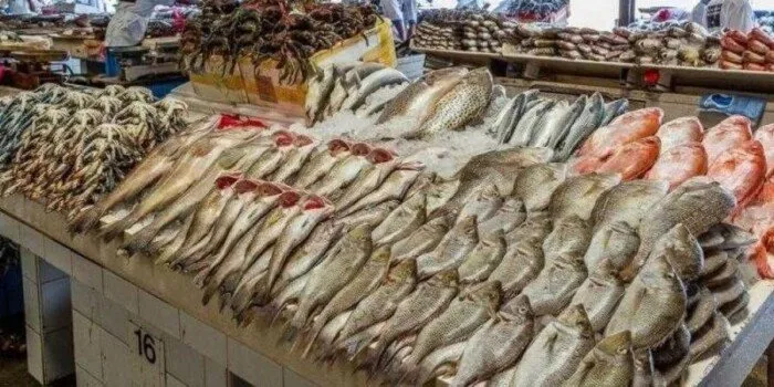 أسعار الأسماك في الأسواق اليوم السبت 28 يونيو 2025: البوري بـ220 جنيها.