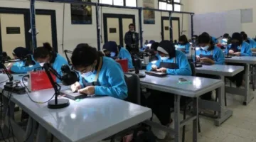 «اكتشف ما هي الخيارات المتاحة لك».. معلومات حول تنسيق المدارس بعد انتهاء الشهادة الإعدادية 2025