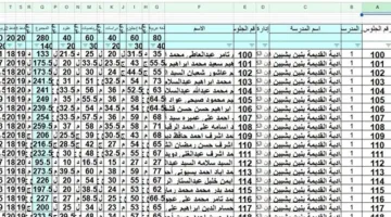 نتيجة الشهادة الإعدادية بالدور الأول في المنوفية متاحة الآن بصيغة إكسل