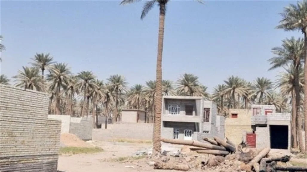 أخبار جديدة حول تخصيص الأراضي الزراعية للسكان: إليكم الإرشادات. أخبار جديدة حول تخصيص الأراضي الزراعية للسكان: إليكم الإرشادات.