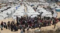 منظمة الصحة العالمية: ندعو للقلق الشديد بشأن تفاقم الأوضاع الصحية في غزة والضفة الغربية.