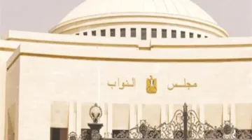 الأشخاص الممنوعون مؤقتًا من المشاركة في تصويت انتخابات مجلس النواب والشيوخ: تفاصيل جديدة