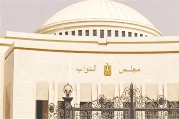 الأشخاص الممنوعون مؤقتًا من المشاركة في تصويت انتخابات مجلس النواب والشيوخ: تفاصيل جديدة
