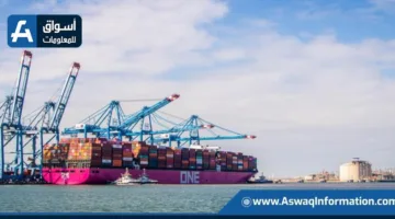 ميناء دمياط يستقبل 45762 طنًا من البضائع تشمل القمح والذرة والمواشي