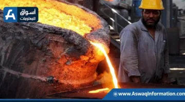 وزير الصناعة: مصر تعطي الأهمية القصوى لتوسيع الصناعات الثقيلة ونقل التكنولوجيا.