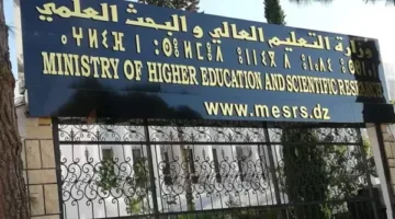 إطلاق حملة توعوية متكاملة لتعزيز وعي طلاب الجامعات والتصدي للأفكار المتطرفة