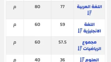 حصلت على 269.5.. الكشف عن نتيجة الشهادة الإعدادية لـ ‘إسراء’ إحدى ضحايا حادث المنوفية