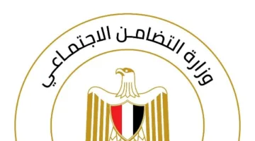 التضامن الاجتماعي: تقديم 100 ألف جنيه لكل عائلة فقدت فردًا في حادث المنوفية