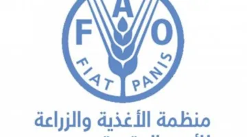 الفاو: 75% من الأراضي الزراعية في سوريا تأثرت بشدة بسبب موجة الجفاف